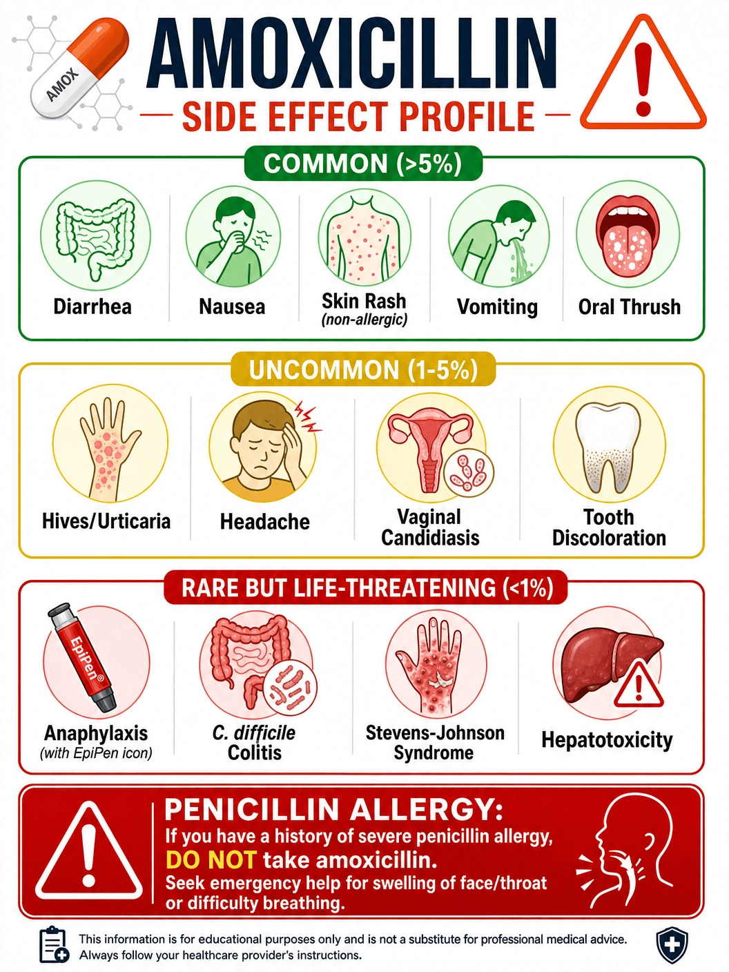 Amoxil Side Effect Profile