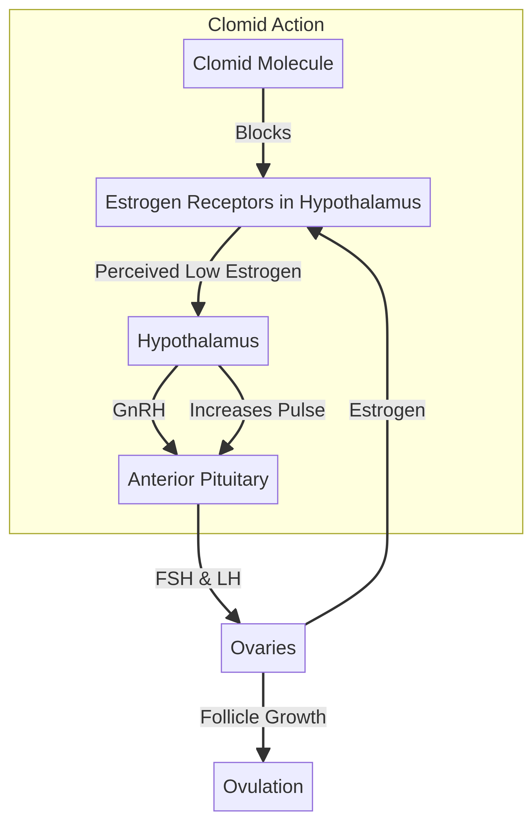 Clomid Mechanism of Action on HPO Axis