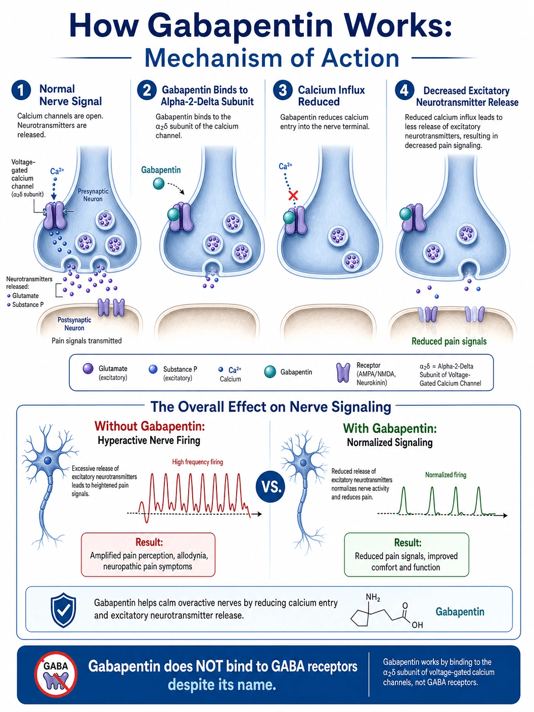 How Gabapentin Works
